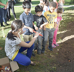 hicksville 2014 10 24 GardenB