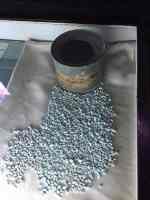 holocaust remembrance day g