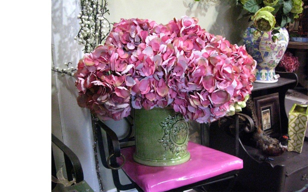 hydrangeas