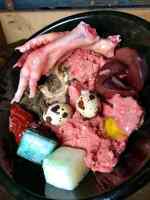 image5.jpeg 768x1024 1