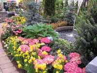 img 2630sml 1024x768 1