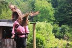 Sky Kings Falconry Photo by Kimberly Dijkstra