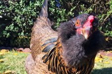 img 4019 web 1024x678 1