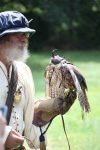 Sky Kings Falconry Photo by Christy Hinko