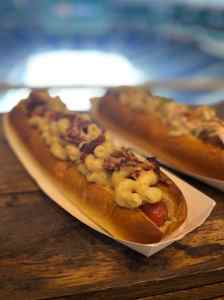 img e1534 768x1024 1