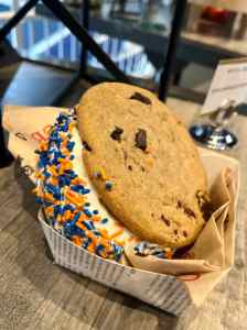 img e1539 768x1024 1