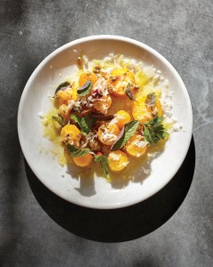 jvp 060217 0352 rgb98