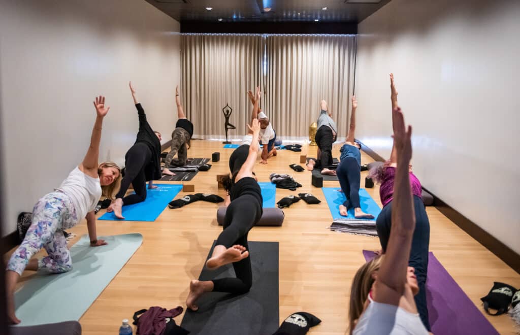 knowyoga d 1024x660 1