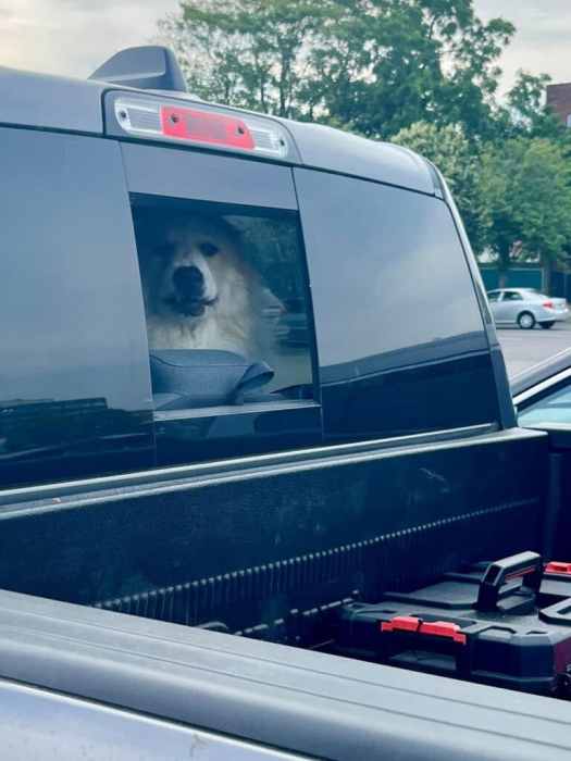 loretta hotcar 768x1024 1