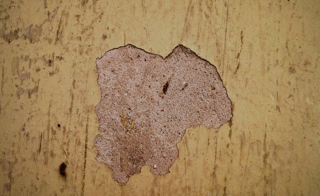 plaster-967257_1280
