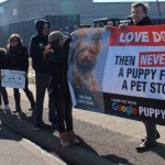 puppy mill protest 3