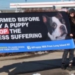 puppy mill protest 4
