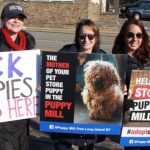 puppy mill protest 6 1024x524 1