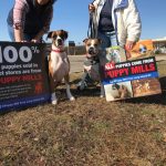 puppy mill protest 8 1024x768 1
