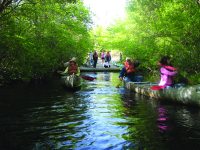 riverhead c 1024x768 1