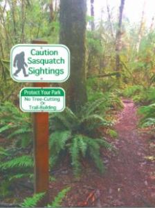 sasquatch.gettyimages 1196107442.web