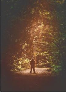 sasquatch.gettyimages 161845053.web