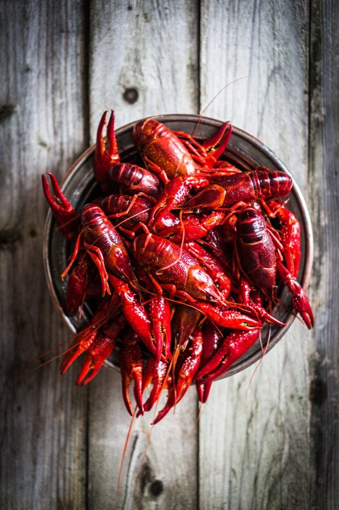 shutterstock_228457990