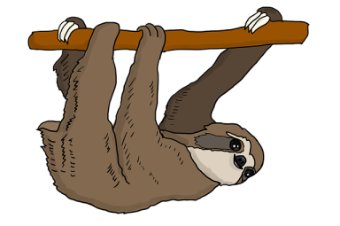 sloth-3329452_640