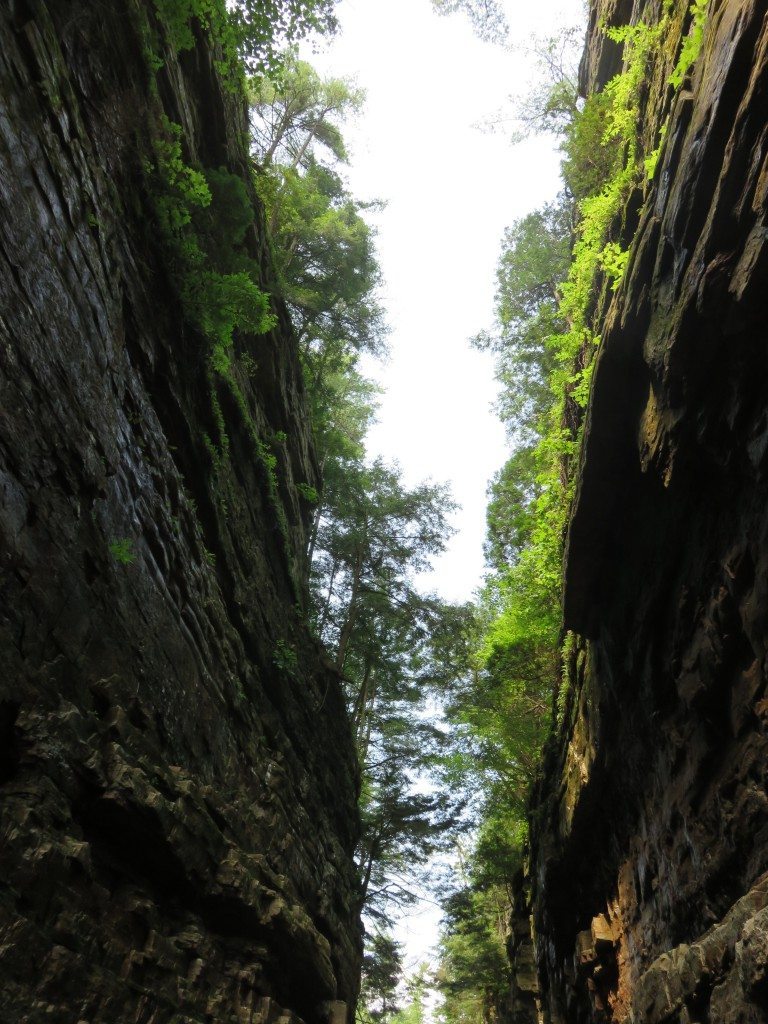 traveldiaryausable4f 768x1024 1