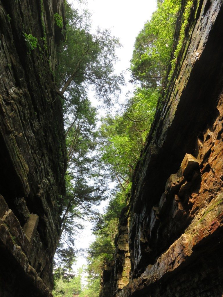 traveldiaryausable4g 768x1024 1