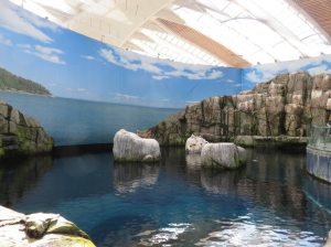 traveldiarymontreale 1024x768 1