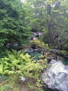 traveldiarymontrealf 768x1024 1