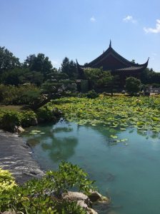 traveldiarymontrealg 768x1024 1