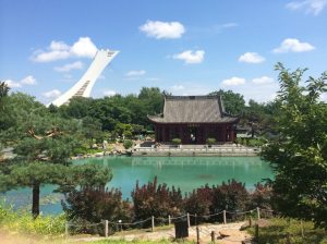 traveldiarymontrealh 1024x768 1