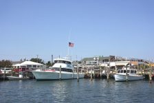 whalewatching1 bykimberlydijkstra 1024x683 1