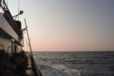 whalewatching6 bykimberlydijkstra 1024x683 1