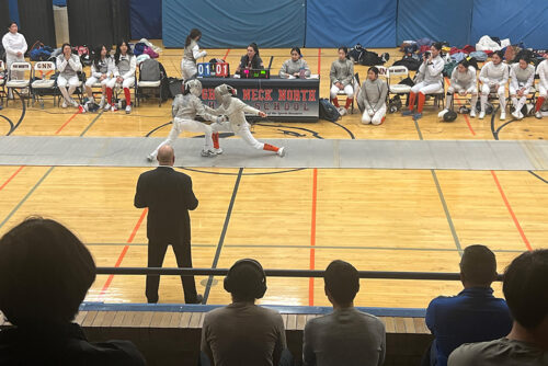 FencingChamps B 500x334 1