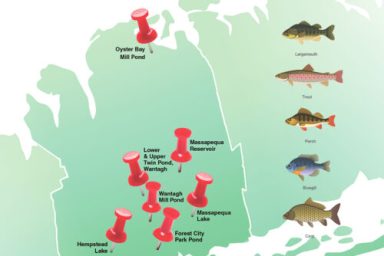 Fishing_Image