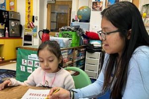 LanguageBuddies D 500x334 1