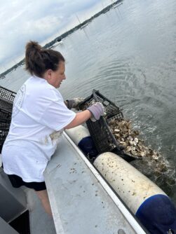 Oysters B 251x334 1