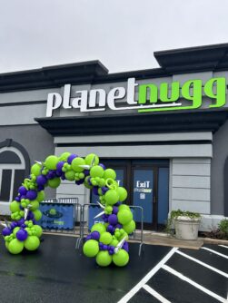Planet Nugg 1