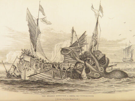 Whaling C 445x334 1