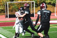 carnival 24b 500x334 1