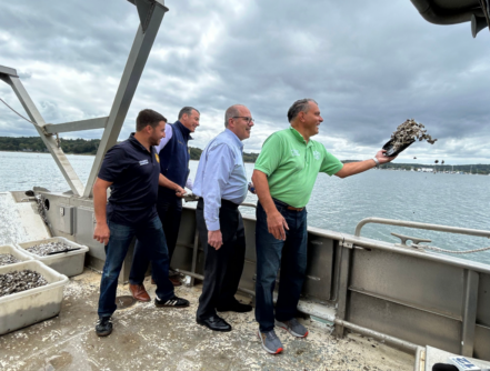 clams and oysters 2 441x334 1