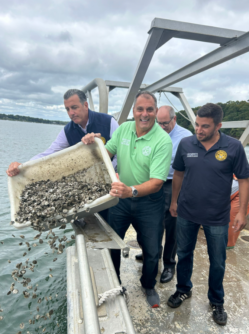 clams and oysters 3 249x334 1