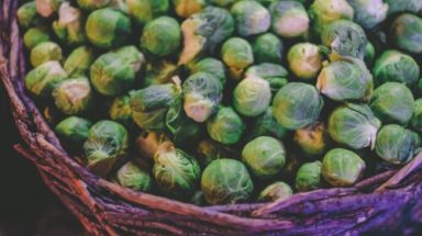 cyrus-crossan-2oshkiq-Tz4-unsplash