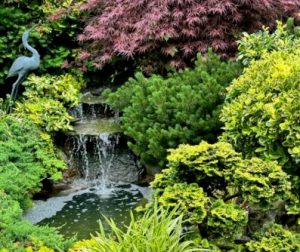garden club E e1719002595930 397x334 1