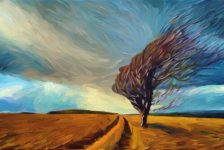 gellerartist 51524 a 500x334 1