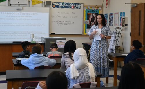 hicksville 1 500x309 1