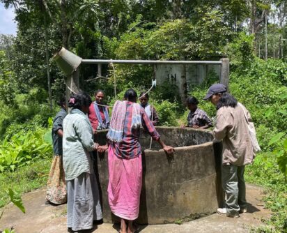 international intern b 412x334 1