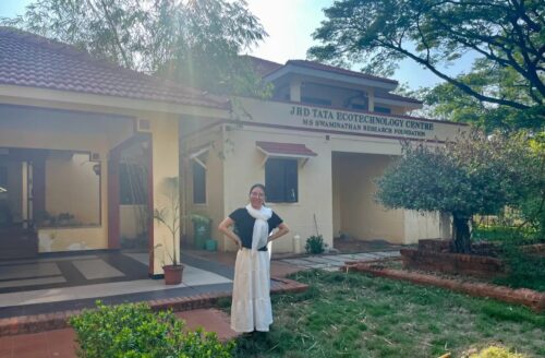 international intern d 500x328 1