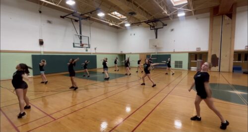 marching band 5 500x267 1