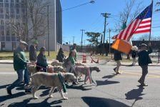 min parade image 6 1 500x334 1