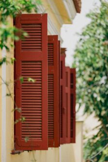 peyman shojaei anu4aewdm8m unsplash 223x334 1