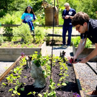 pip grand marshals 1 334x334 1